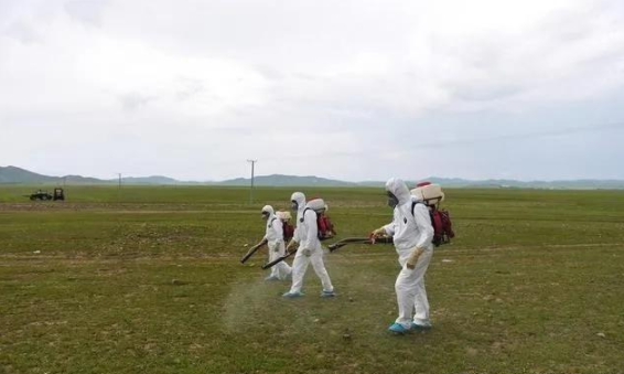 蝗災(zāi)來襲，農(nóng)藥獸藥防偽溯源面臨機遇和挑戰(zhàn)